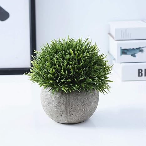 Amazon 人工観葉植物 インテリア 壁掛け アートグリーン おしゃれ かわいい 母の日 プレゼント お祝い 店飾り 人工観葉植物 オンライン通販