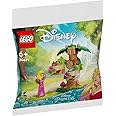 LEGO 30671 Aurora Forest Playground - New.