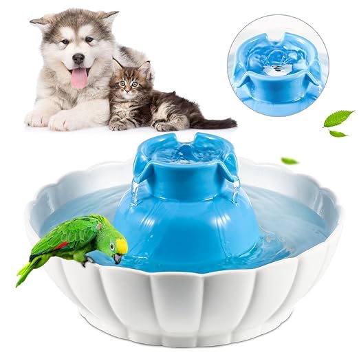 Top 9 best pet water fountains for dogs and cats (Updated 2018)