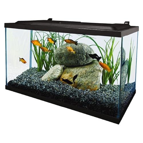 Tetra Aquarium, 10 Gallon, Complete Tropical Fish Tank Kit with