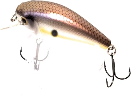 H2o crankbaits Outlet
