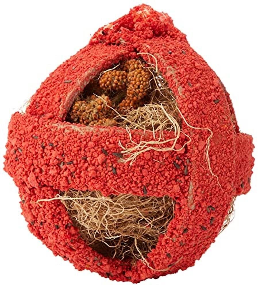 Quiko Fitness Foodball Rojo 100g - Snack and play fun for birds