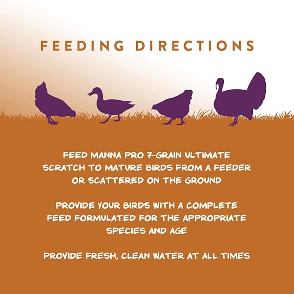 MANNA PRO 7-GRAIN ULTIMATE CHICKEN SCRATCH – SCRATCH GRAIN TREAT FOR CHICKENS AND OTHER BIRDS – NON-GMO NATURAL INGREDIENTS – 10 LBS