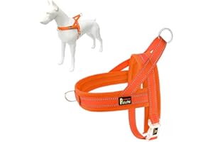 Plutus Pet No Pull Dog Harness with Breathable Mesh Padded, Adjustable Reflective Escape Proof Dog Harness, Quick Fit Dog Vest Harness for Small Medium Large Dogs(M, Orange)