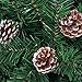 Natural Pine Cones, SOMAN 2.4 Inch Tall Real Snow Pinecones Ornaments for Christmas Decorations Set of 12