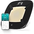 Homedics Digital Smart Scale, Motion-Sensing LED Display, 13 Body Metrics Analysis, Bluetooth Sync, Multi-User Recognition, High-Precision Weight Measurement Up to 400 lbs, Black