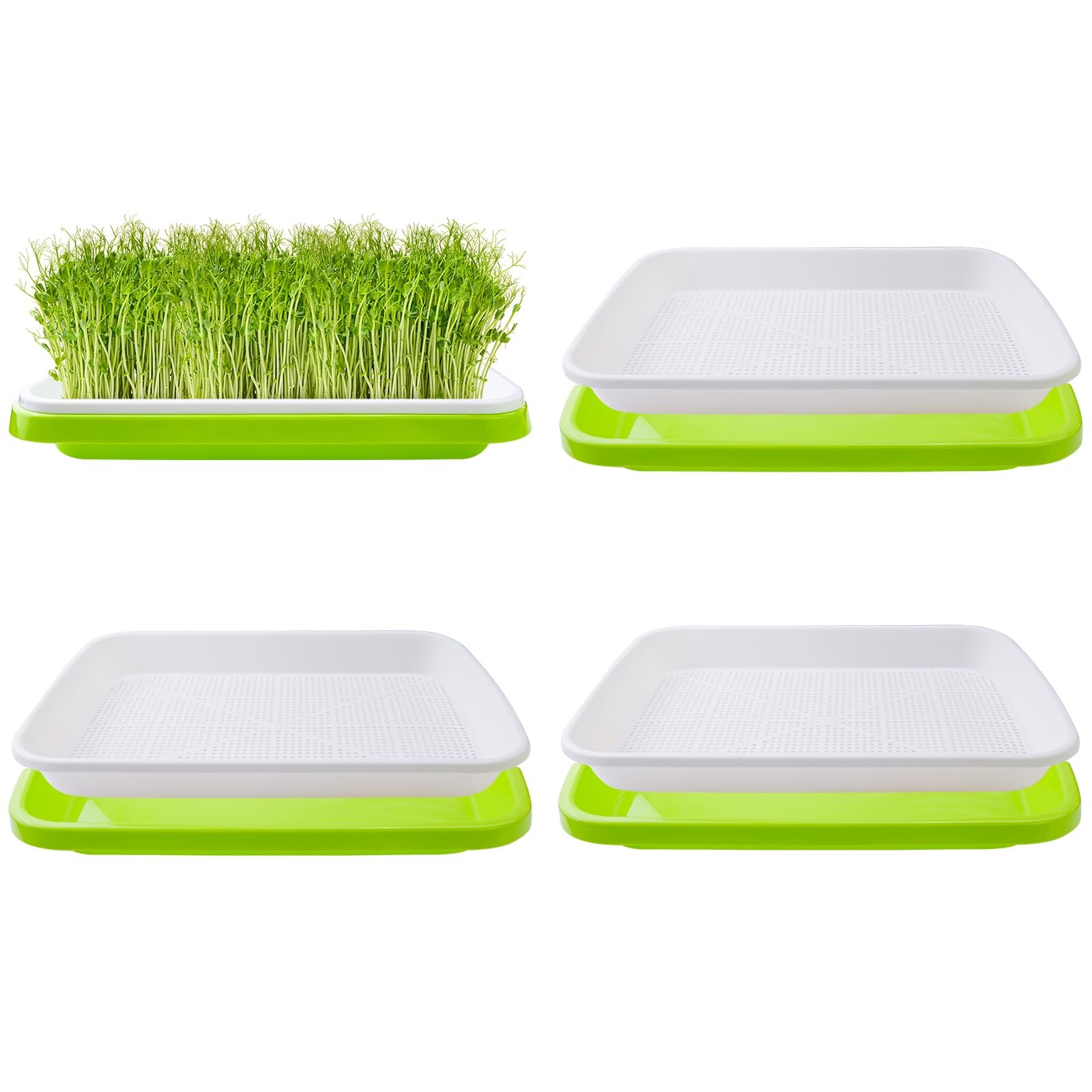 Heekcaa 4 Pack Seed Sprouter Tray,32cm x 26cm Large Capacity Sprouting Tray Healthy Hydroponic Propagator with Planting Papers for Mung Beans Alfalfa Wheat Grass Garden (No lids)