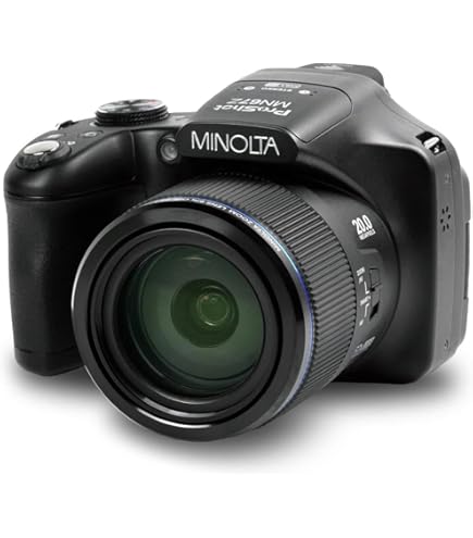 Amazon.com : Canon PowerShot SX530 HS 16.0 MP CMOS Digital Camera