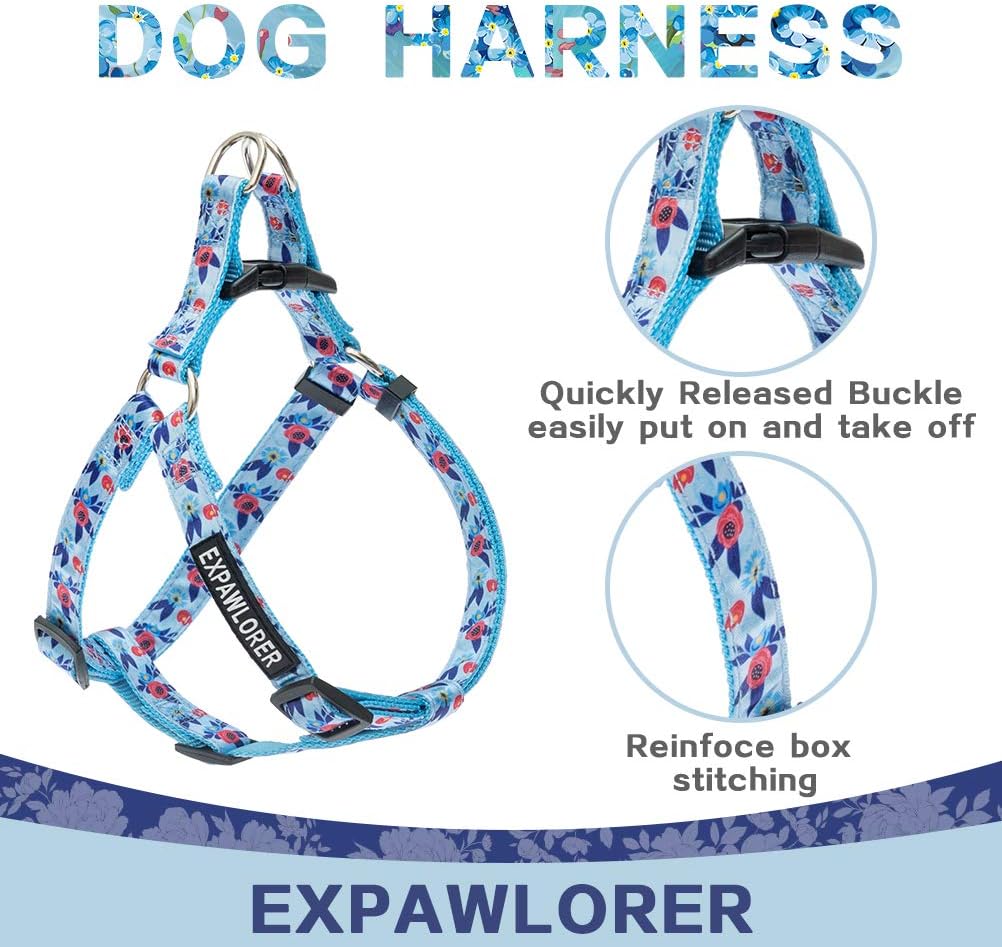 Pet Supplies : EXPAWLORER No Pull Dog Harness and Leash Set with Collar - Heavy Duty & Adjustable Basic Harness for Small Medium Dogs & Cats : 