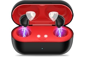 FLAWWORS Hearing Aids (Not Amplifiers), Rechargeable Digital Hearing Aids for Seniors with 16-Channel Sound Processing, Noise Cancelling, Invisible Hearing Aids for Adults with Charging Case（Black）