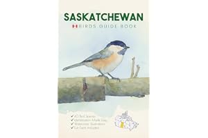 Saskatchewan Birds Guide Book. A Canada Bird Identification Field Guide and Pocket Book for Young Birdwatchers and Ornitholog