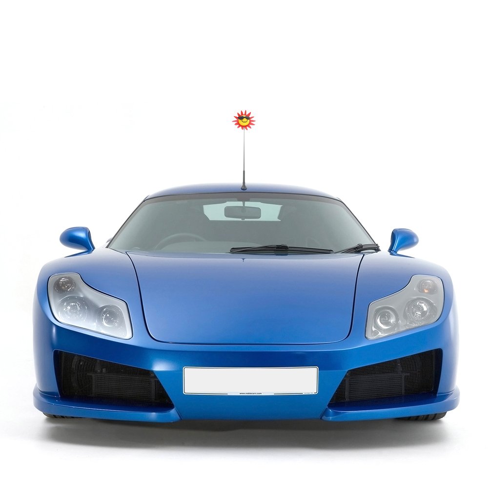 Antenna Balls YGMONER Cool Sun Car Antenna Topper Antenna Toppers