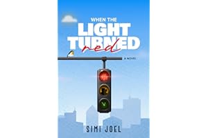 When the Light Turned Red: A Novel