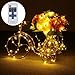 Dimmable christmas LED Starry String Lights -120 LEDs 40 Foot Copper Wire Lights-Warm White