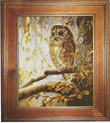 sweet home Owl in the woods cross stitch kits,Egyptian cotton,14ct, 47x55 cm 200x243 stitch counted cross stitch kit
