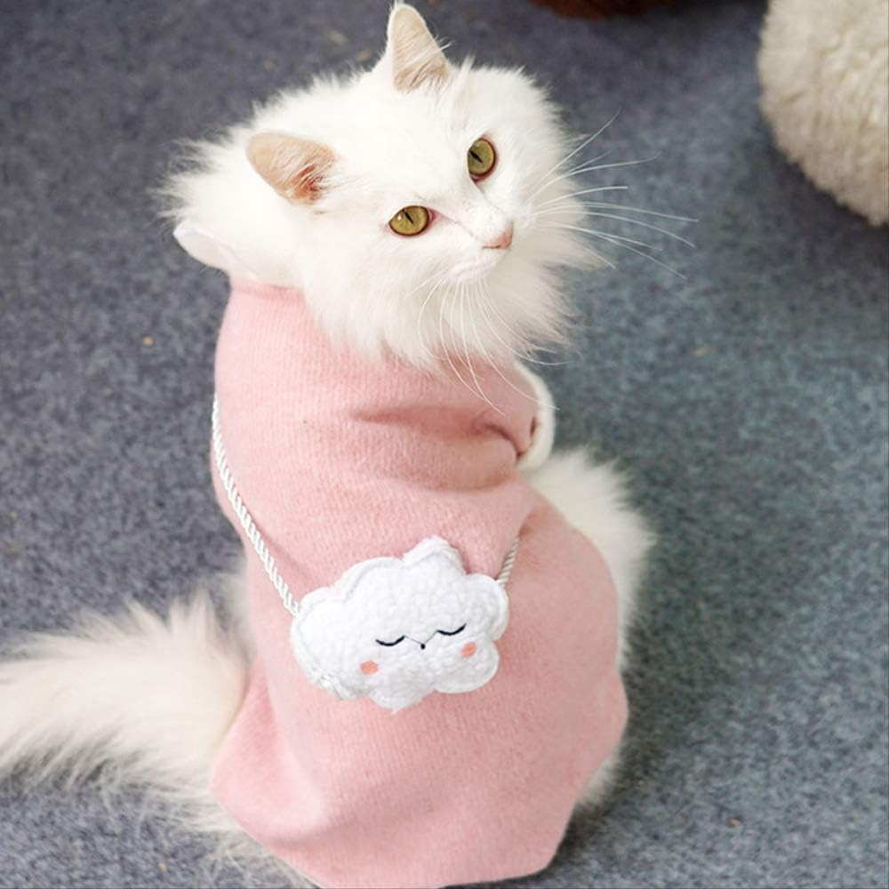 cute kitten clothes