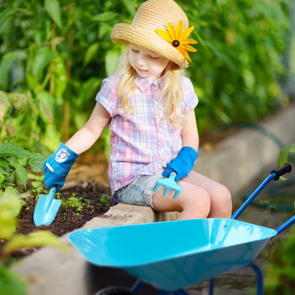 Colwelt Kids Wheelbarrow 5Pcs, Steel Wheelbarrow for Kids with Kids Gardening Tools and Gloves(Blue), Gardening Tools for Kids