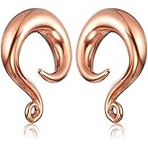 Longbeauty DIY Ear Weight Hook for Ear Piercing Jewelry 316L Stainless Steel Gauges Plugs Dangle Ear Hangers Pierced Expanders 6g-0g