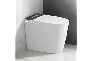 WinZo Compact Smart Toilet 10" Rough-in with Bidet for Small Bathroom, Auto Flush, LED Night Light,Heated Bidet with Warm Air