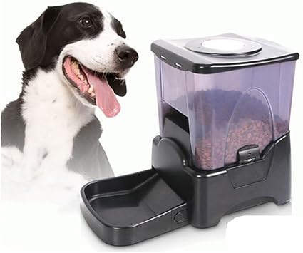 Amazon Com Cacoffay Large Automatic Dog Cat Pet Feeder