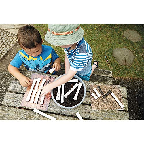 Dinosaur Bones Match and Measure Set