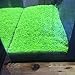Aquarium Plants Seeds Aquatic Double Leaf Carpet Water Grass, for Fish Tank Rock Lawn Garden Decor
