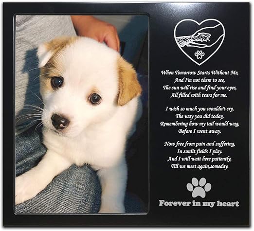 amazon pet memorial