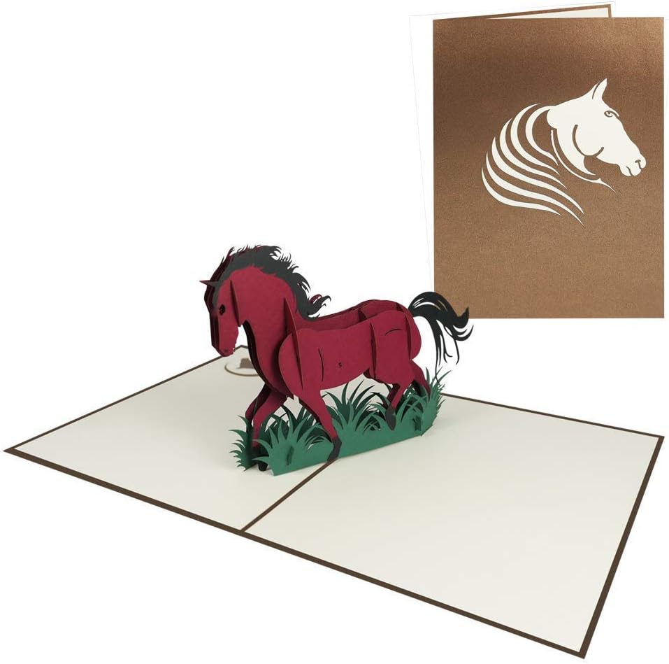 Pferd Pop Up Karte Pony Geburtstagskarte Gutschein Gluckwunsch Geburtstag Einladung Freizeit Reiten Zoo Tiere Pferd 155 Amazon De Burobedarf Schreibwaren