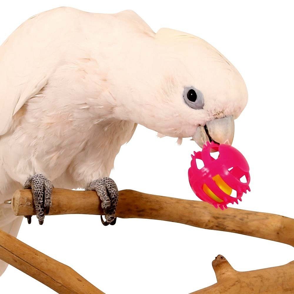 Parrot Essentials Roll & Ring Foot Parrot Toy for Parakeets, Budgies and Parrots - Pack of 3 Parrot Toys African Grey, Cockatoo, Macaw, Amazon & Other Large Birds, Budgie Toys, Cockatiel Toys,