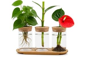 BUYGOO 3 PCS Plant Propagation Station, Tabletop Glass Water Planting Glass Vase with Wooden Tray, Wood Lid, Propagation Jars