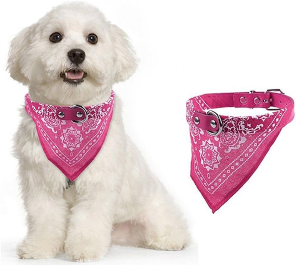 bandana on dog's neck