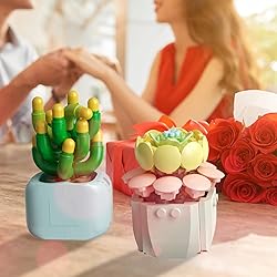 Feelo STEM Succulents Plants Building Set Mini
