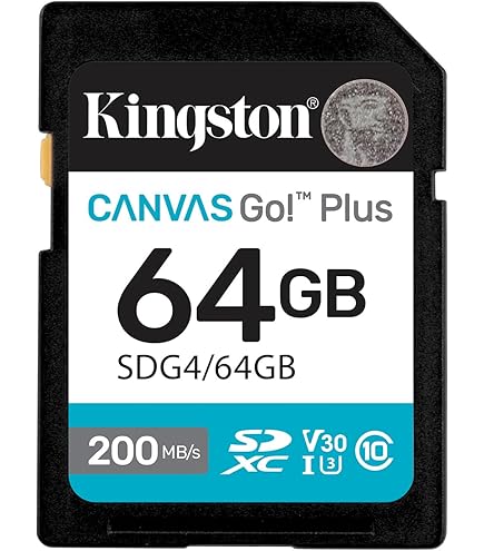Kingston Cartão SDXC Canvas Select Plus de 64 GB | Até 100 MB/s