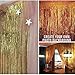 Set of 2 Shiny Gold Metallic Foil Fringe Door & Window Curtain Party Decoration 3' X 8' (36
