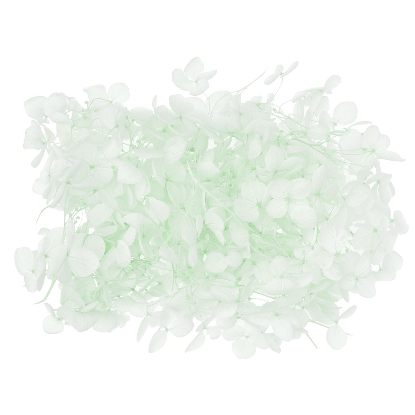 The Baked Studio - Original Dried Flower Hydrangea Set For Cake & Cupcake Decorating & Others Crafts (Light Green)