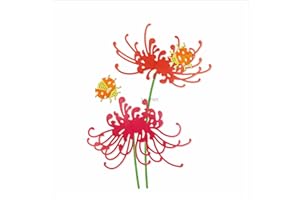 XMZZMX Equinox Flowers Metal Cutting Dies for Card Making, Paper Embossing Die Cuts Kit Templates, Storage Pockets Supplies, Photo Frame Album DIY Scrapbooking Stencils Sets