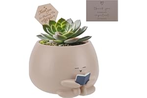Onzbala Bookworm Planter Pot Succulent Pot for Book and Plant Lover & Thank You Card, Emotional Support Gift, End of School Gift, Teacher Gift Mother Dad Appreciation S