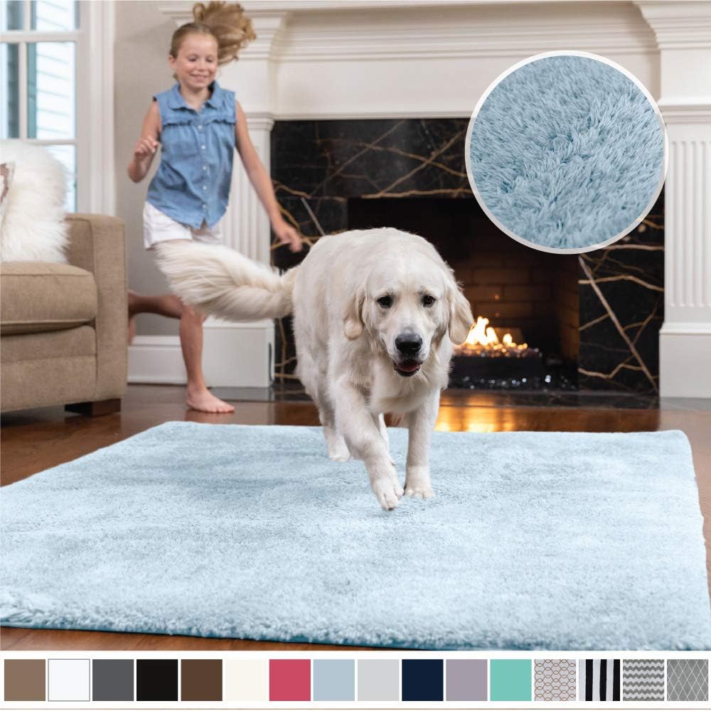 Best light blue living room rug