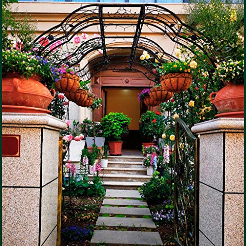 QHW Rosenbogen, Pergola-Kletterpflanzenbogenhalterung, Gartenbogengitter-Kletterhilfe, Hochzeitsdekoration, schwarz… – Bild 7