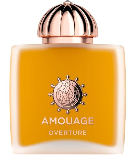 Amazon.com: AMOUAGE LOVE DELIGHT Women's Eau de Parfum : Beauty