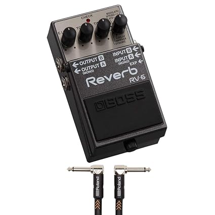 Amazon Com Boss Rv 6 Digital Reverb With 2 Roland 6 Inch 1 4