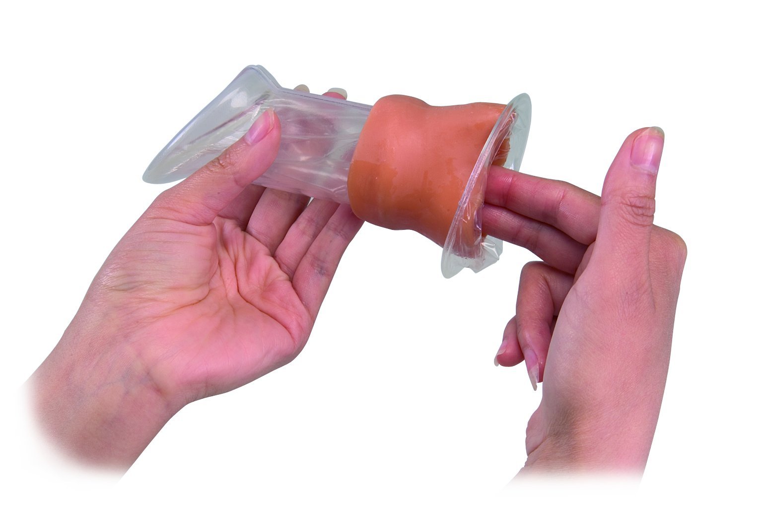 3B Scientific Human Anatomy - Female Condom Model, Light Skin
