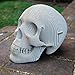 Cardboard Safari Recycled Cardboard Skull 3D Model, Large Vince White