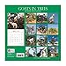 2018 Goats in Trees Calendar - 12 x 12 Wall Calendar - With 210 Calendar Stickers