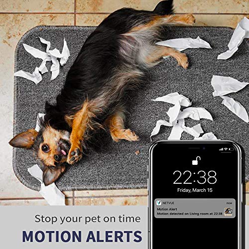 4 Camera+Monitor+Detection+Compatible+Storage