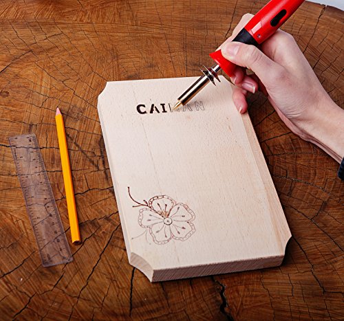 Caiman Wood Burning Kit 38 Pcs,WoodBurning Pyrography Pen 15-30W Power Adjustable Temperature With Soldering Iron, Stand and Portable Carry Case