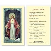 Artisan Owl Anima Christi Sacred Heart of Jesus Holy Cards (Set of 5)