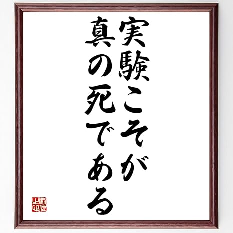 Amazon Co Jp 書道色紙 パスカルの名言 実験こそが真の死である 額付き 受注後直筆 千言堂 Z1974 ホーム キッチン