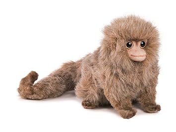 marmoset stuffed animal