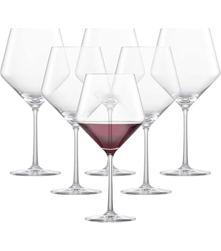Amazon.com | Schott Zwiesel Tritan Crystal Glass Diva Stemware